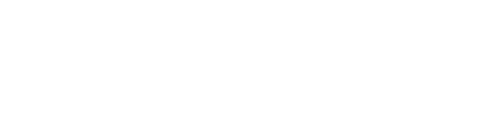 Tiwari-Travel-Logo