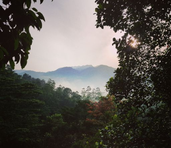 Ashram5-mountain view