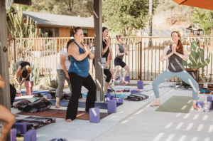 Sagrada Wellness, California, USA