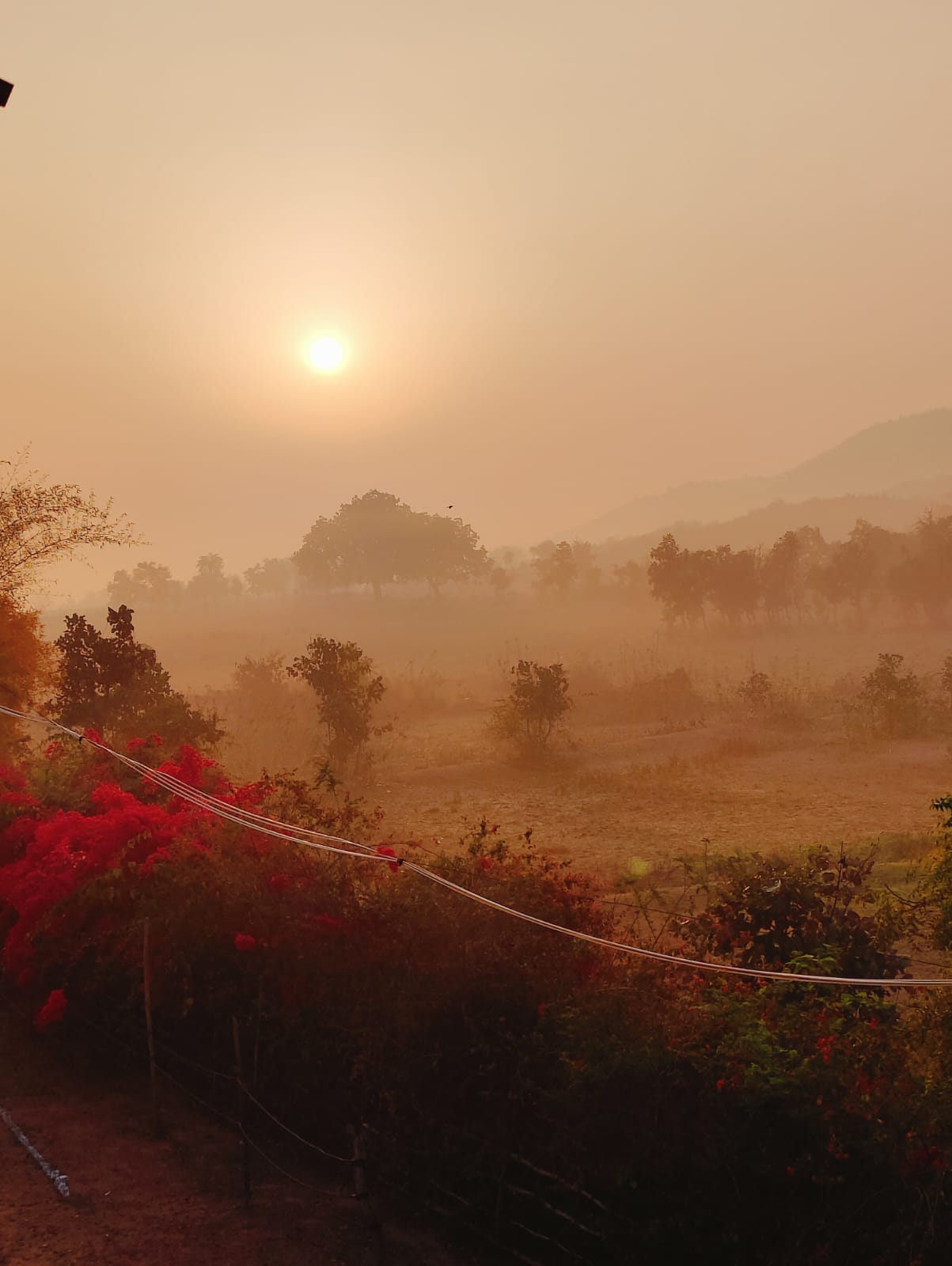 Sacred Pilgrimage to North India