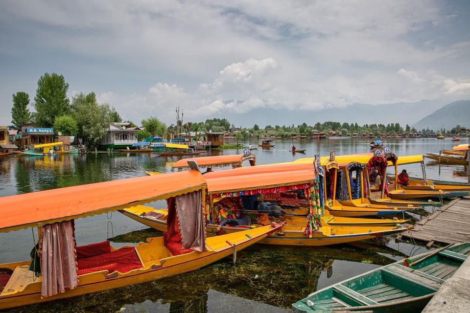 Sacred Pilgrimage to North India - Image 5